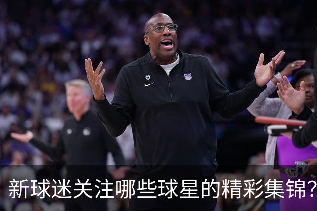 新球迷关注哪些球星的精彩集锦？